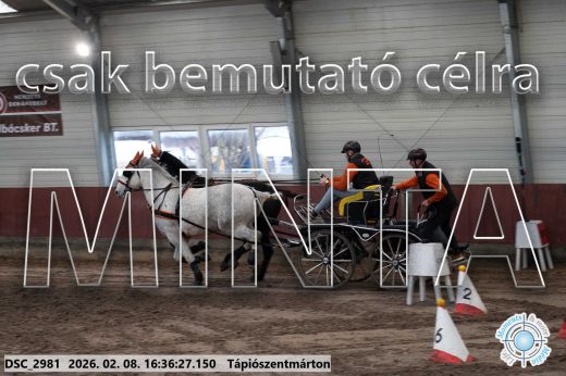 Mintakép 20260208-1092