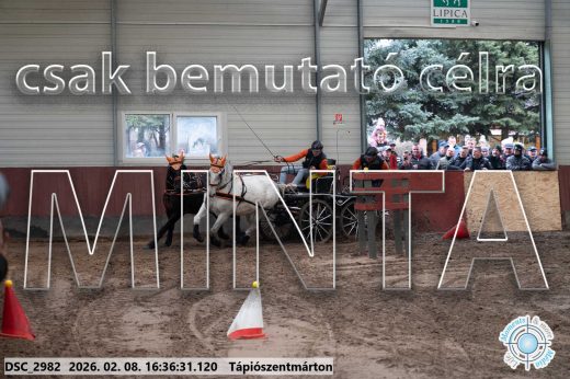 Mintakép 20260208-1093