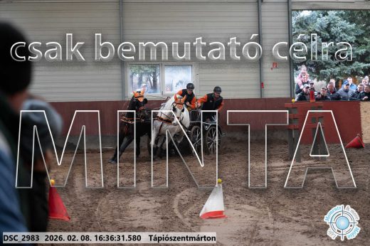 Mintakép 20260208-1094
