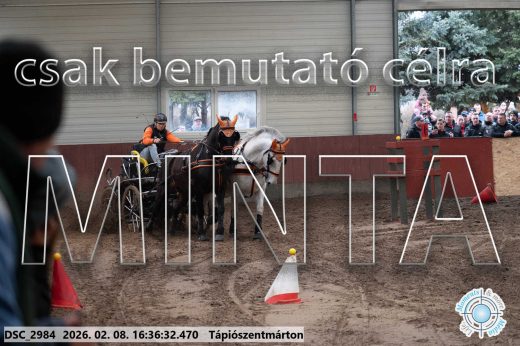 Mintakép 20260208-1095