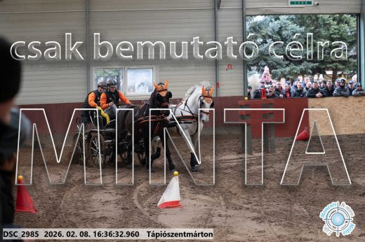 Mintakép 20260208-1096