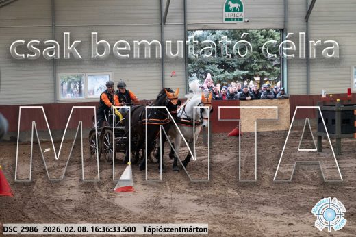 Mintakép 20260208-1097