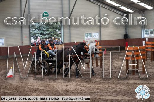 Mintakép 20260208-1098