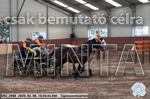 Mintakép 20260208-1099