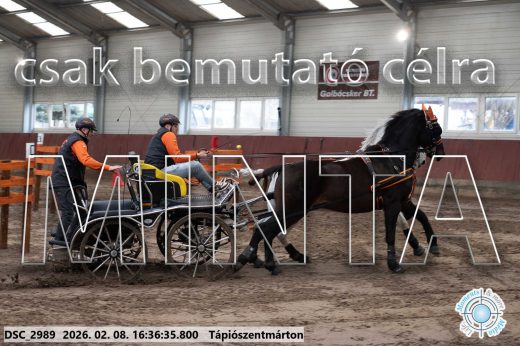 Mintakép 20260208-1100