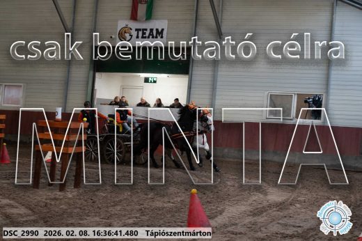 Mintakép 20260208-1101