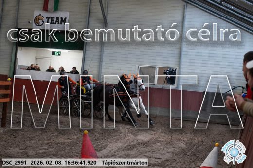 Mintakép 20260208-1102
