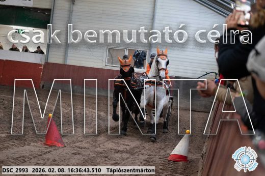 Mintakép 20260208-1104