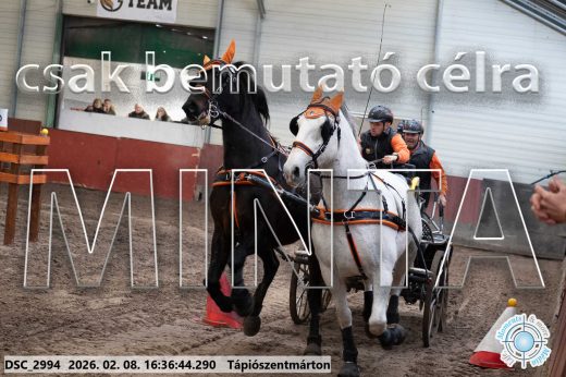 Mintakép 20260208-1105