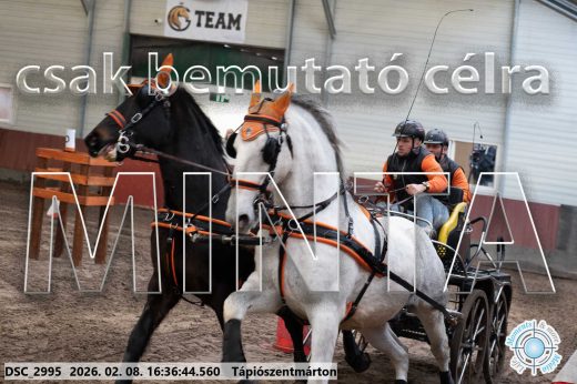 Mintakép 20260208-1106