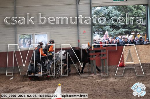 Mintakép 20260208-1107