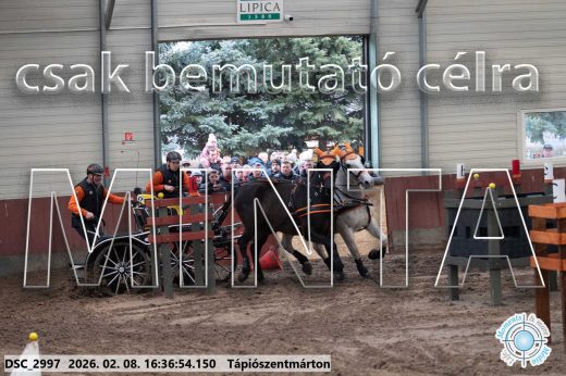Mintakép 20260208-1108