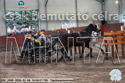 Mintakép 20260208-1109