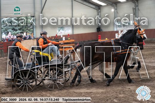 Mintakép 20260208-1111