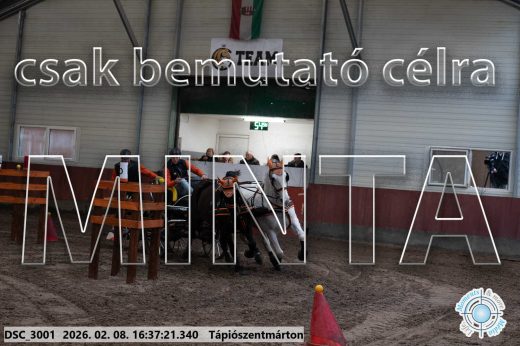 Mintakép 20260208-1112
