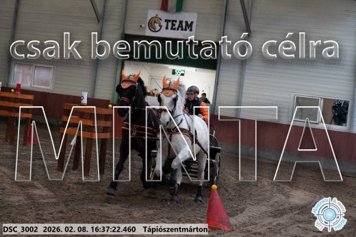 Mintakép 20260208-1113