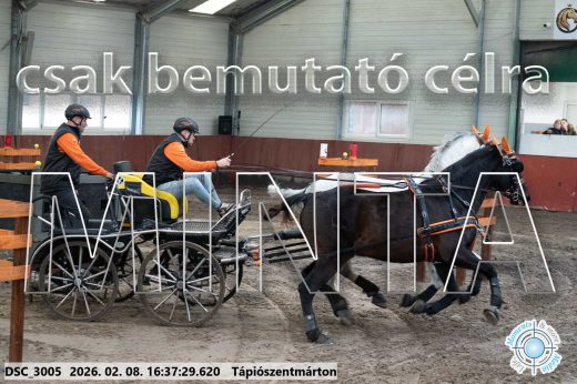 Mintakép 20260208-1114
