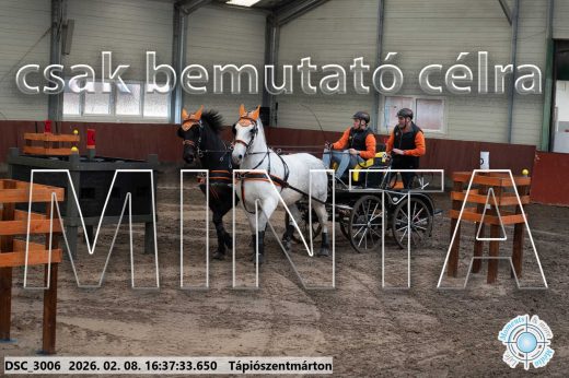 Mintakép 20260208-1115