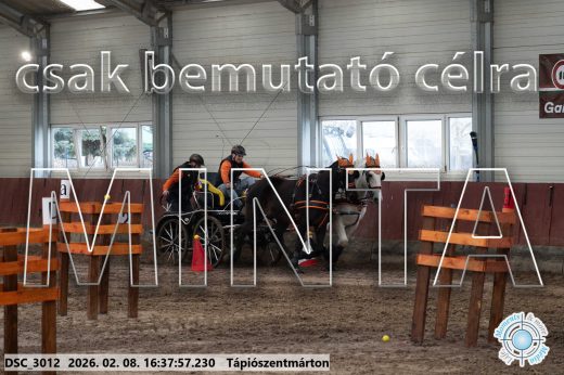 Mintakép 20260208-1120