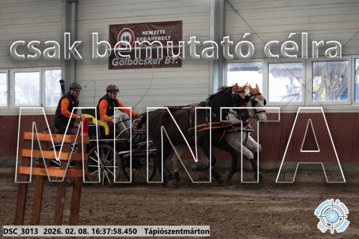 Mintakép 20260208-1121