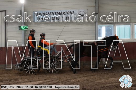 Mintakép 20260208-1123