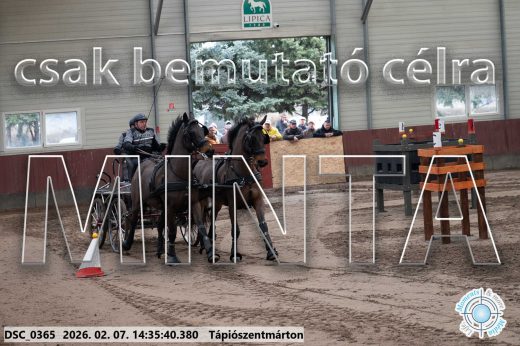 Mintakép 20260207-686