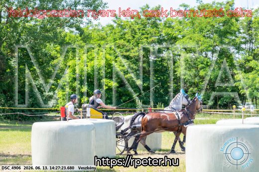 Mintakép 20260613-597