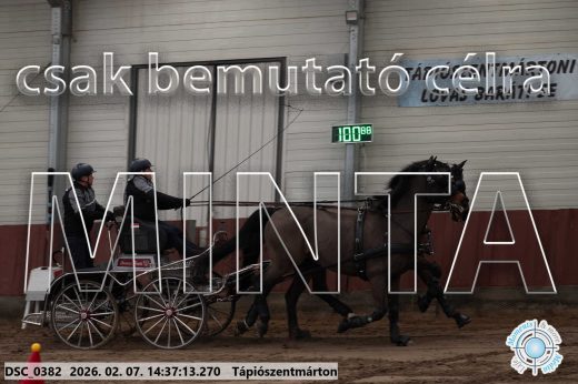 Mintakép 20260207-700