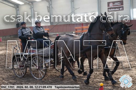Mintakép 20260208-1125