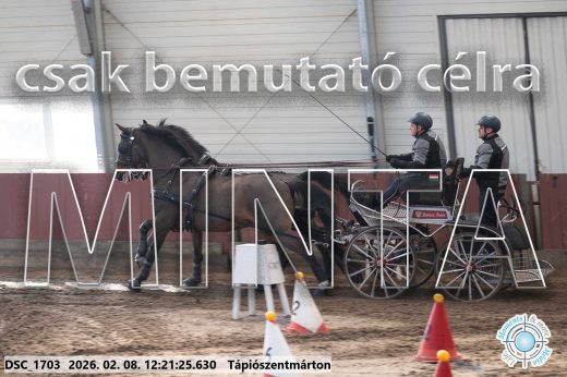 Mintakép 20260208-1127