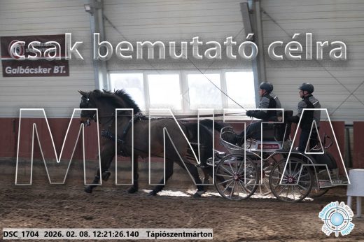 Mintakép 20260208-1128