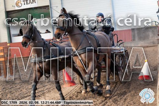 Mintakép 20260208-1133