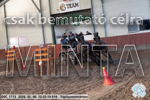 Mintakép 20260208-1137