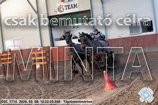 Mintakép 20260208-1138