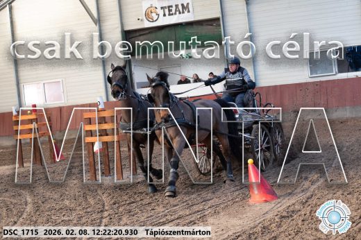 Mintakép 20260208-1139