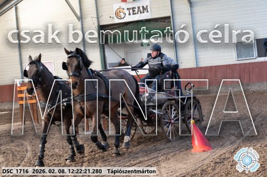Mintakép 20260208-1140