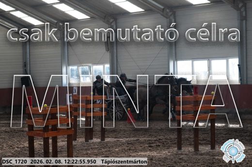 Mintakép 20260208-1143