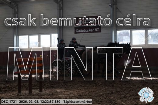 Mintakép 20260208-1144