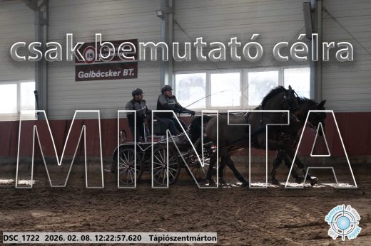 Mintakép 20260208-1145