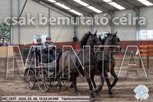 Mintakép 20260208-1148