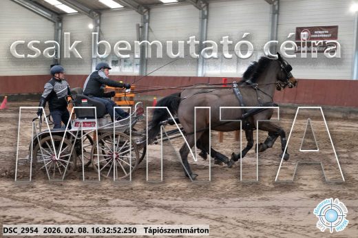 Mintakép 20260208-1155