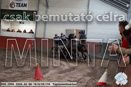 Mintakép 20260208-1157