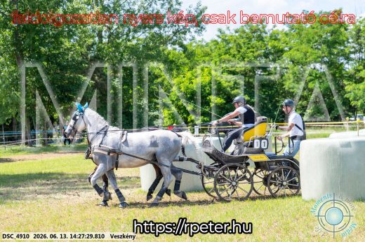 Mintakép 20260613-601
