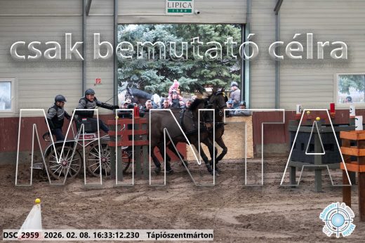 Mintakép 20260208-1160