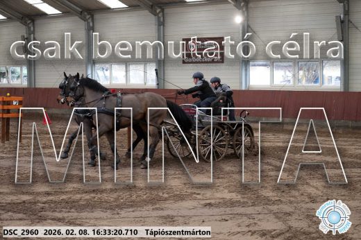 Mintakép 20260208-1161