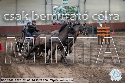 Mintakép 20260208-1162