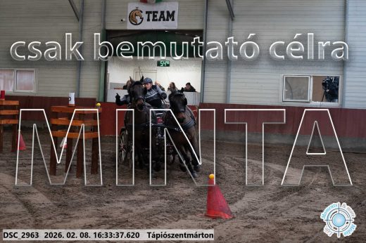 Mintakép 20260208-1164
