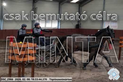 Mintakép 20260208-1167