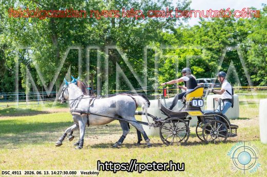 Mintakép 20260613-602