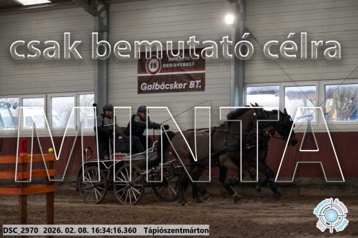 Mintakép 20260208-1171